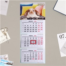 Календарь квартальный, трио "Символ года" 2023 год, подушки, 19х46см