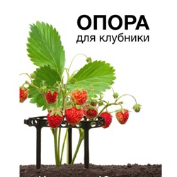 Кустодержатель для клубники и др. растений 34.4х14.5см. d-11 см