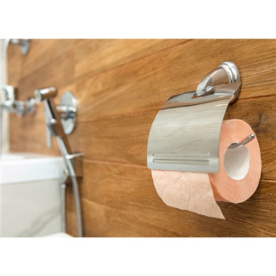 Держатель для туалетной бумаги с крышкой SonWelle Классик, хром