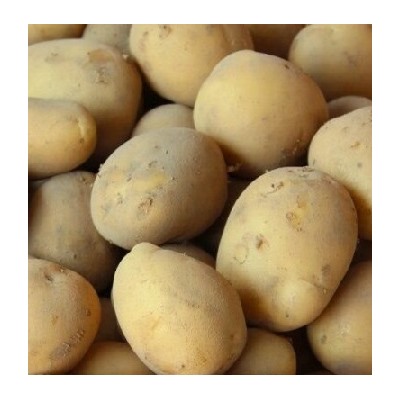Картофель семенной Аризона (4кг) (Код: 90300)